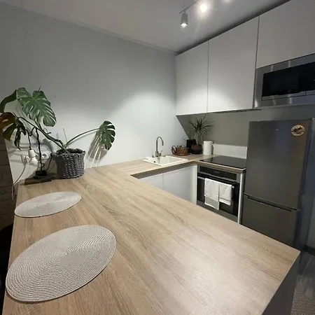 Appartement And Cozy Next To Telliskivi *